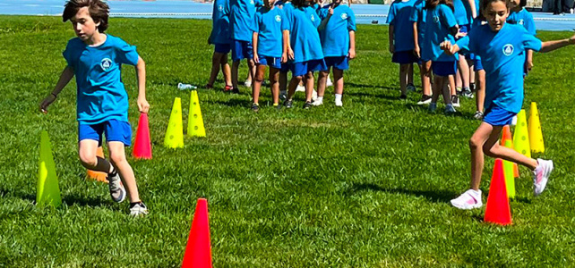 Ümraniye Yaz Okulu Yaz Okulu Survivor Parkuru